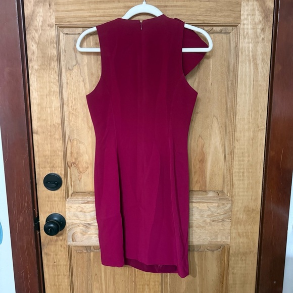 Cinq à Sept Fuchsia One Shoulder Dress - Picture 6 of 9